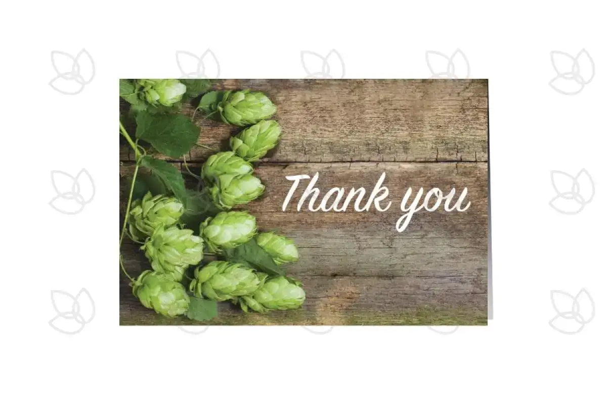 ’Thank You’ Greeting Cards And Envelopes (Pack Of 12)