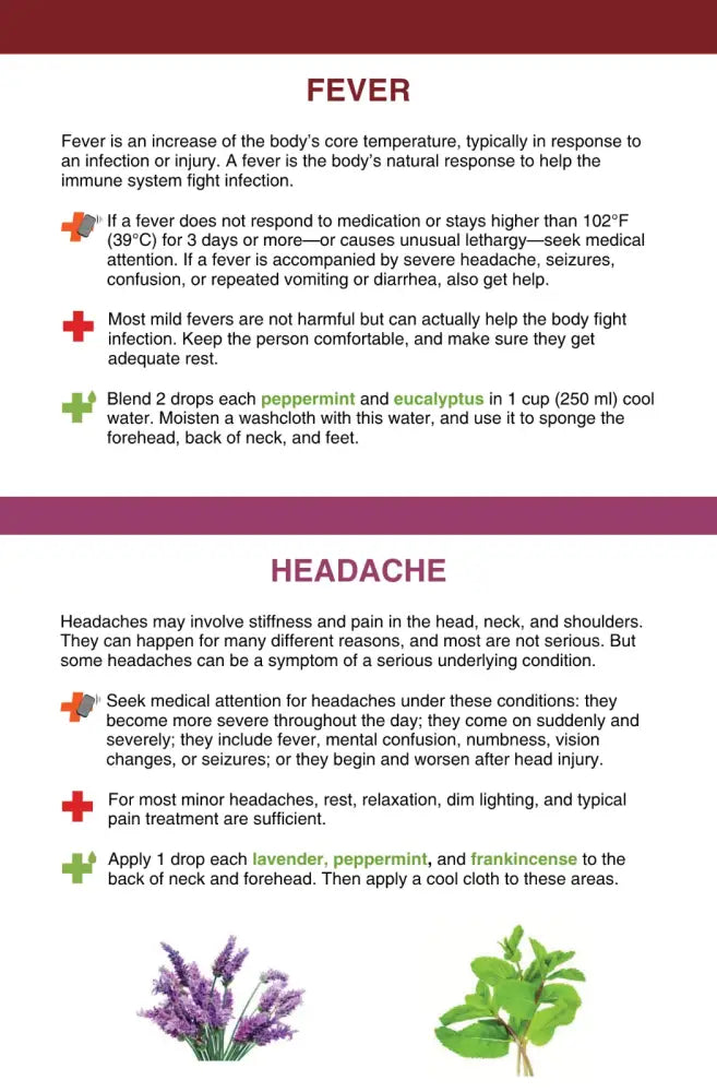 ’Essential Oil Support for First Aid’ Booklet (Copy)