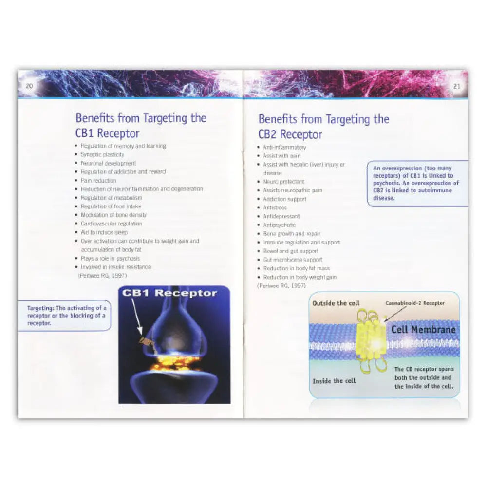 "The Endocannabinoid System and its Messengers" Booklet by Elise Bailey