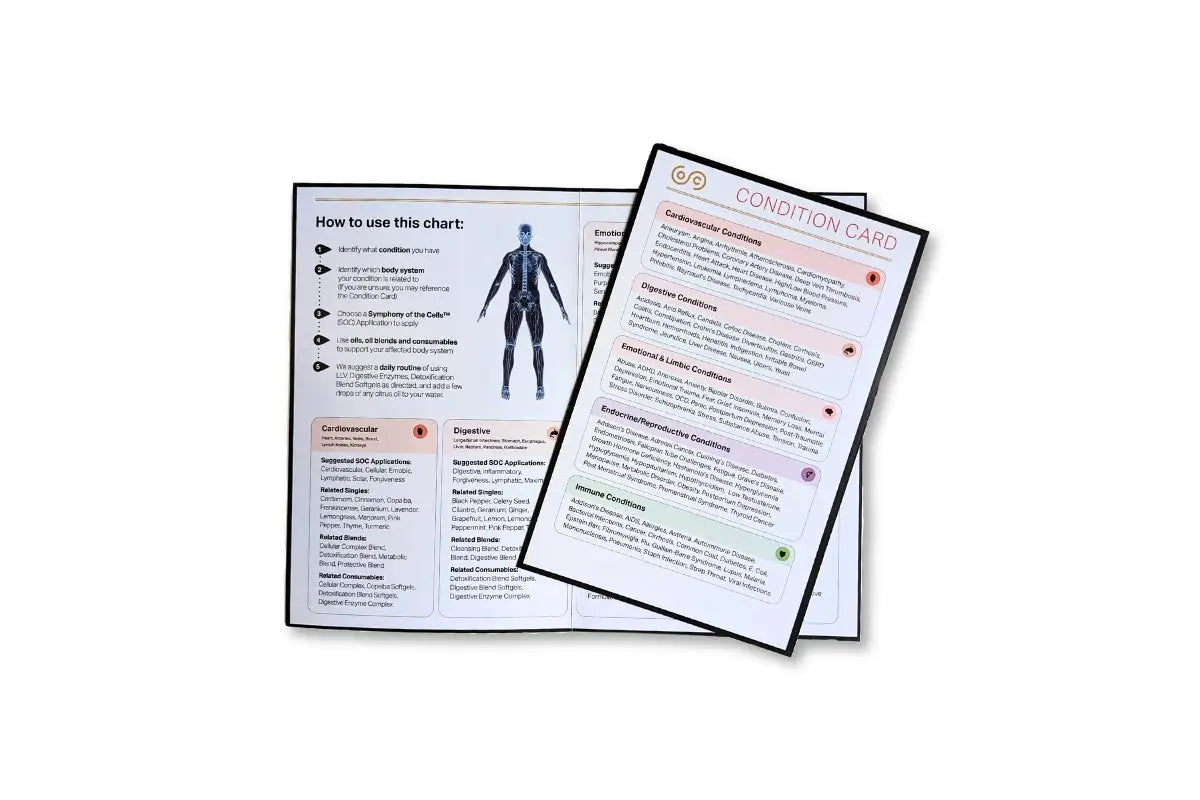 Symphony Of The Cells Body Systems Chart And Condition Card