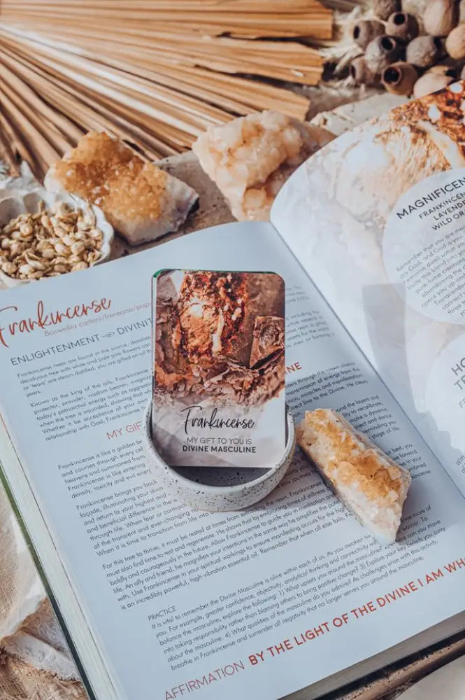 Gifts of the Essential Oils Companion Cards (Pack of 119)