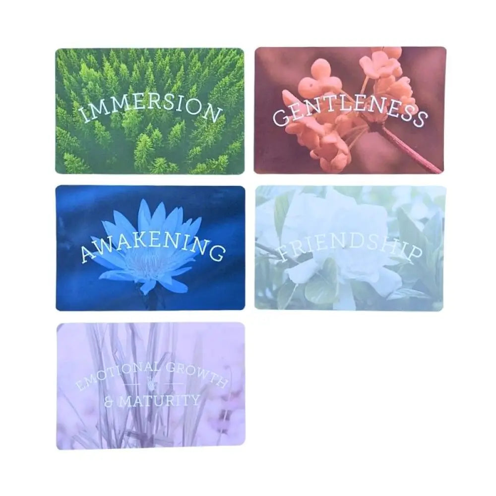 Essential Emotions Oil Insight Cards 12Th Edition Update (Pack Of 5)