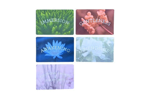 Essential Emotions Oil Insight Cards 12Th Edition Update (Pack Of 5)