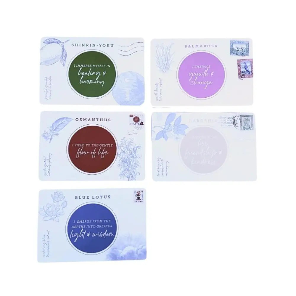 Essential Emotions Oil Insight Cards 12Th Edition Update (Pack Of 5)