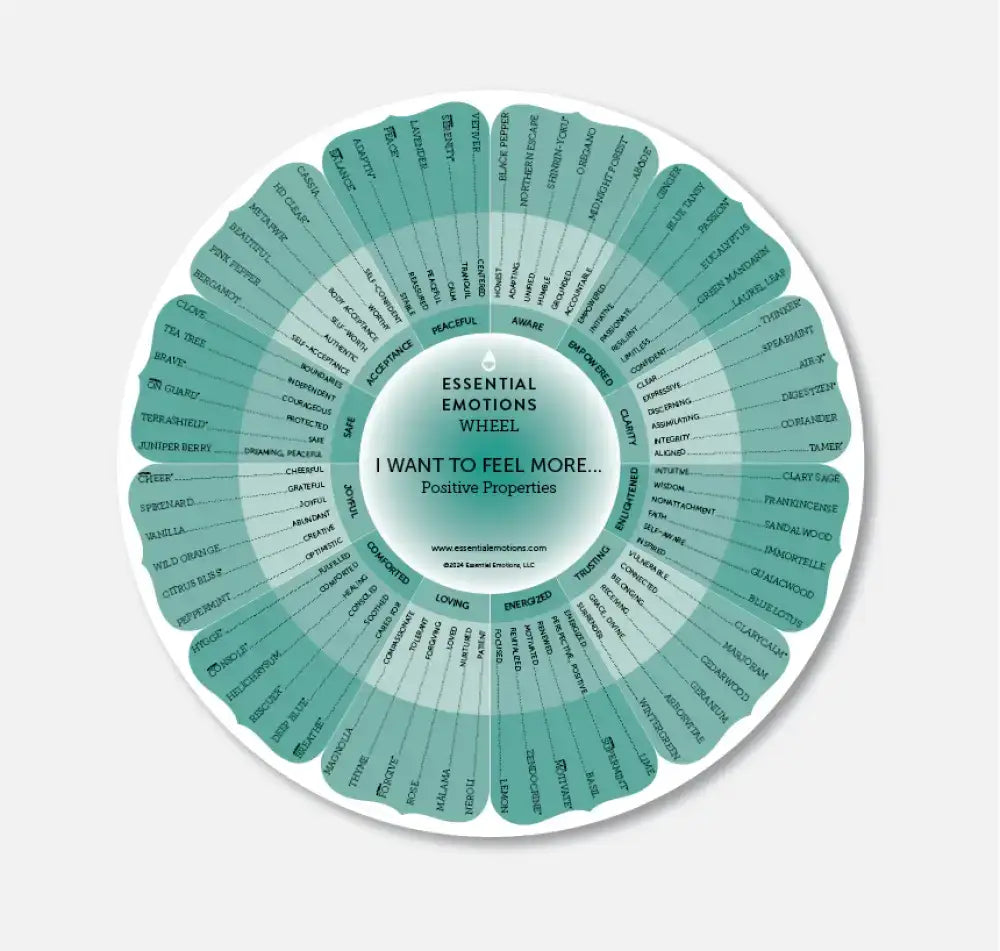 ’Essential Emotions Wheel ’ 13Th Edition