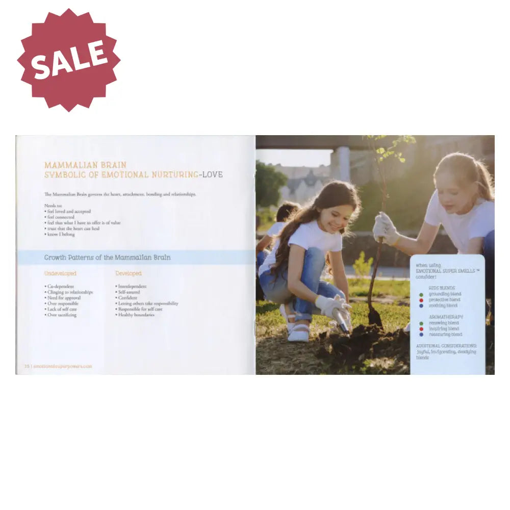 Emotional Super Powers Bundle By Pam Robinson &amp; Rachelle Castor