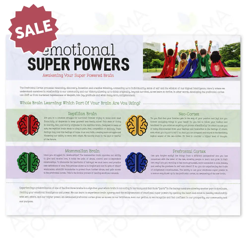 Emotional Super Powers Bundle By Pam Robinson &amp; Rachelle Castor