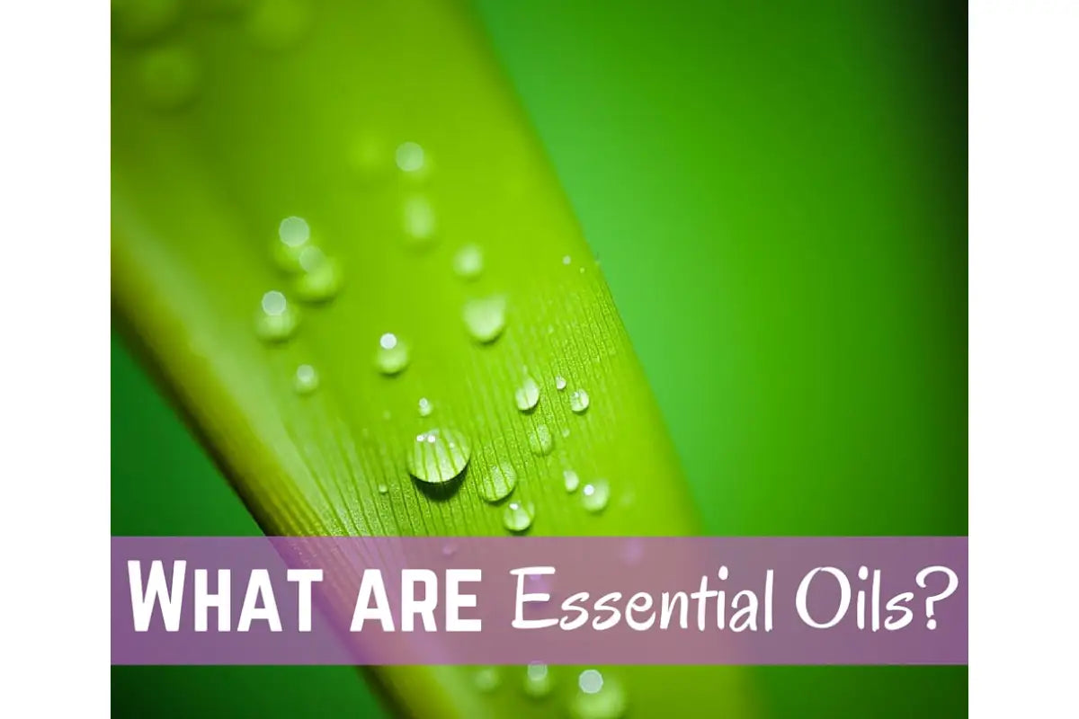 "Cleaning with Essential Oils" Essential Oil Academy Digital Online Class