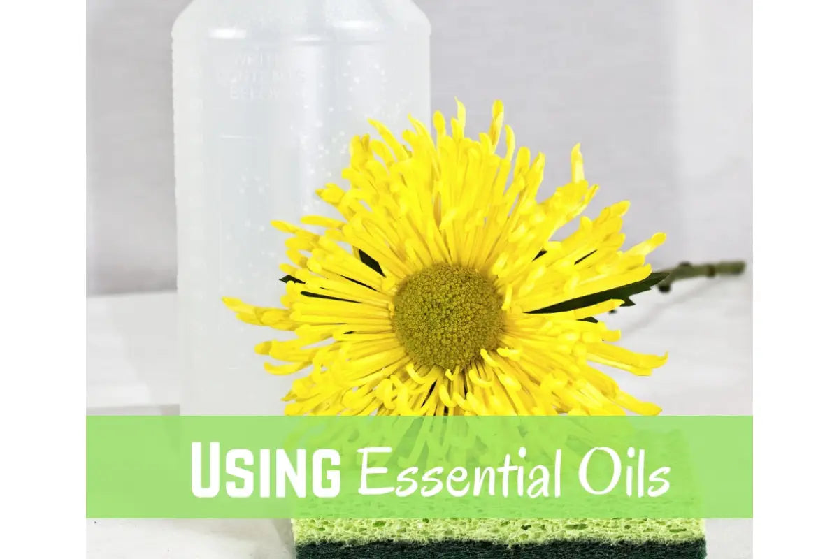 Cleaning With Essential Oils Oil Academy Digital Online Class