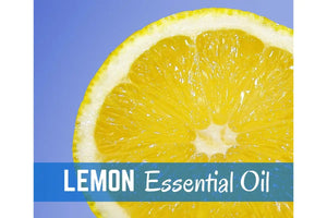 Cleaning With Essential Oils Oil Academy Digital Online Class