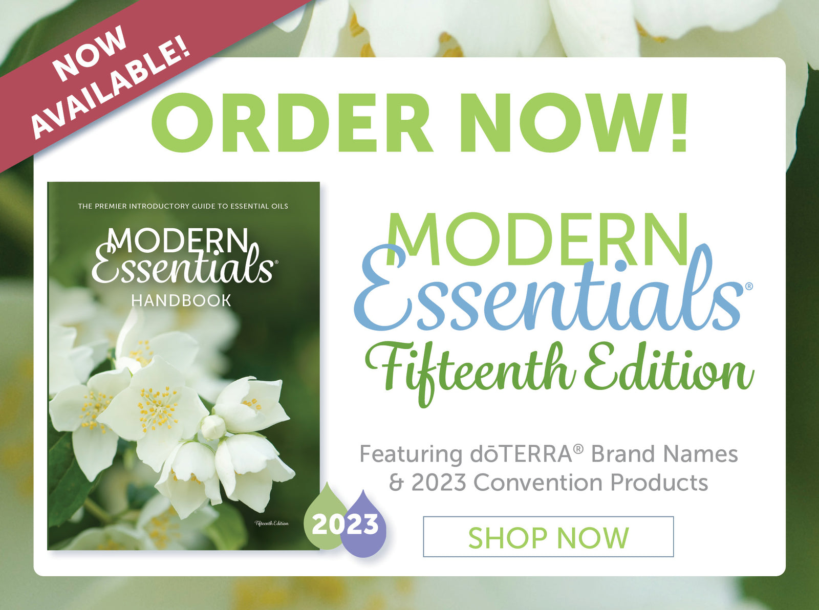Modern Essentials HANDBOOK: The Premier Introductory Guide to the  Therapeutic Use of Essential Oils, 13th Edition - September 2021, (Sold  Individually)