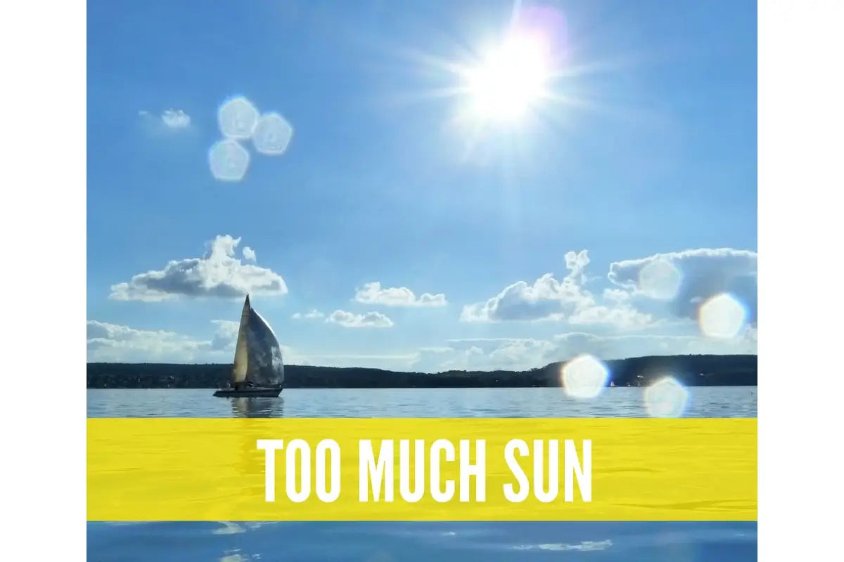 Essential Oils For Summer Camp Oil Academy Digital Online Class