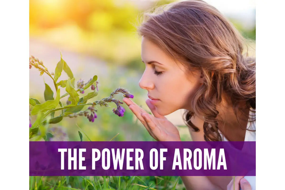 Essential Oils For College Life Oil Academy Digital Online Class