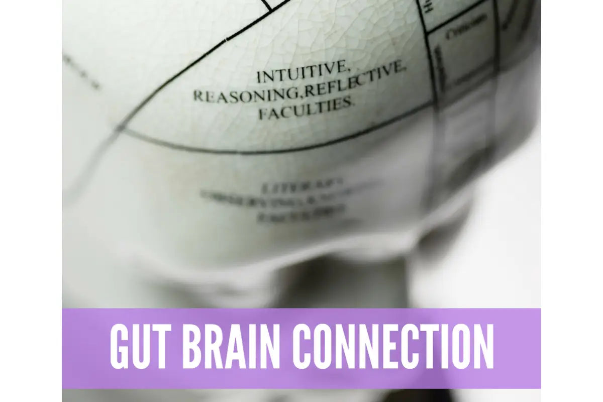 Essential Oils For Digestive Support Oil Academy Digital Online Class