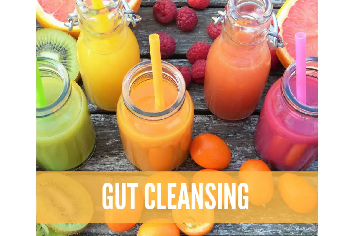 Essential Oils For Digestive Support Oil Academy Digital Online Class