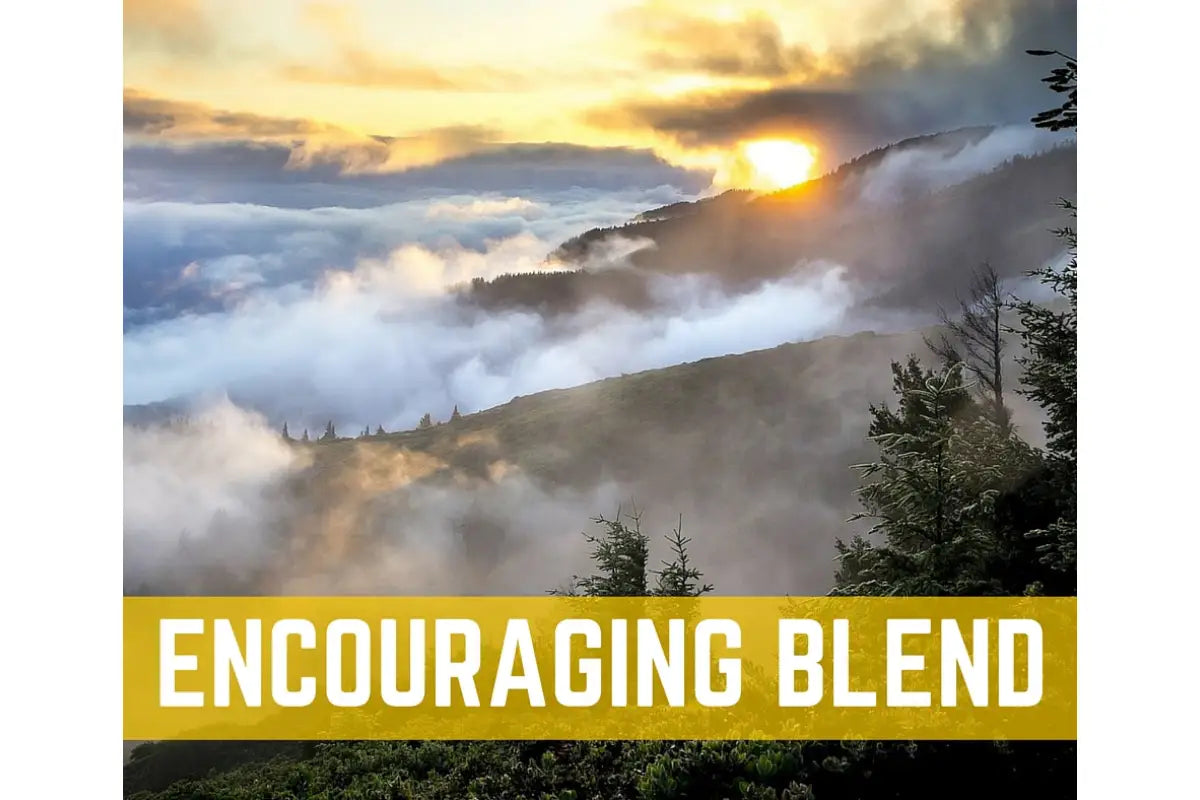 Emotions And Essential Oils Oil Academy Digital Online Class