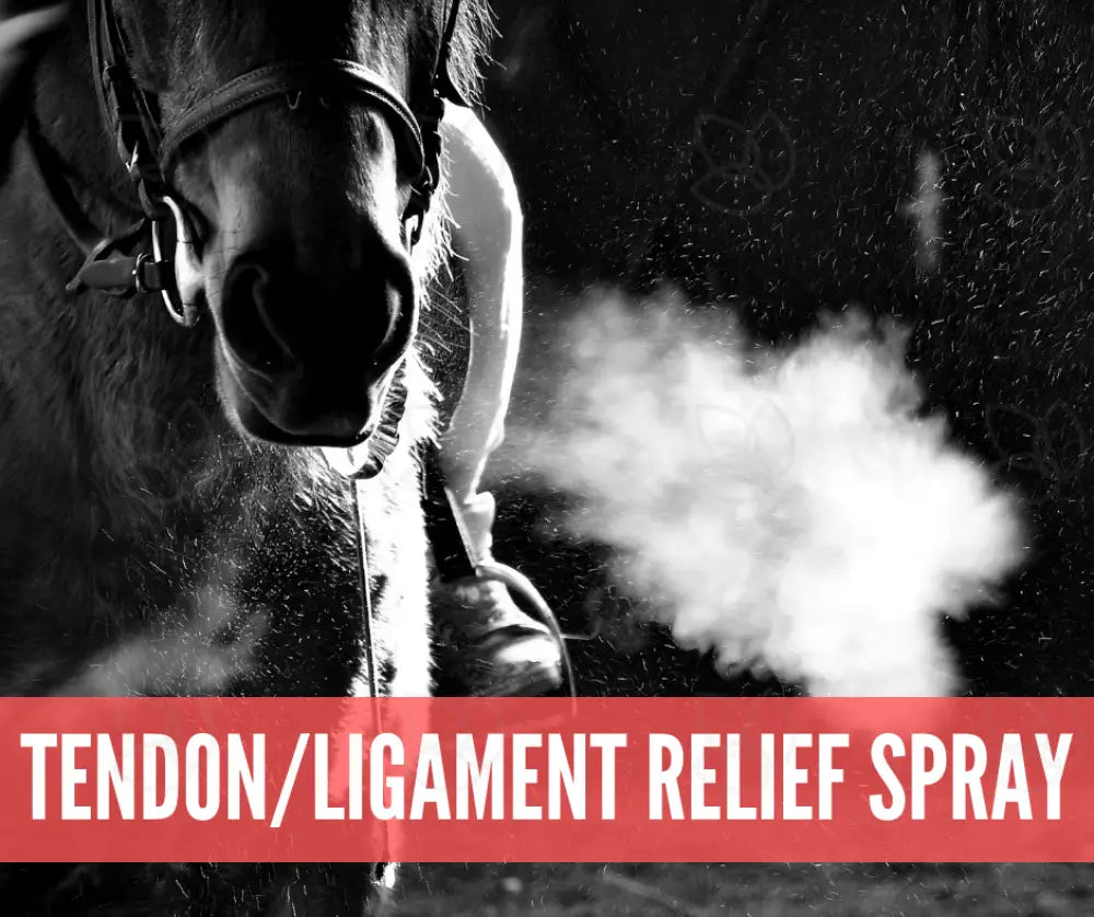 Essential Oil Recipes For Horses Academy Digital Online Class