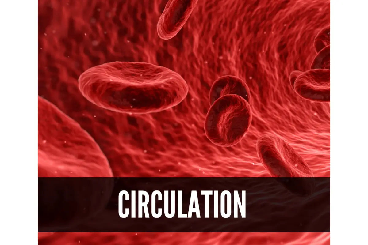 Essential Oils For Nurses Oil Academy Digital Online Class