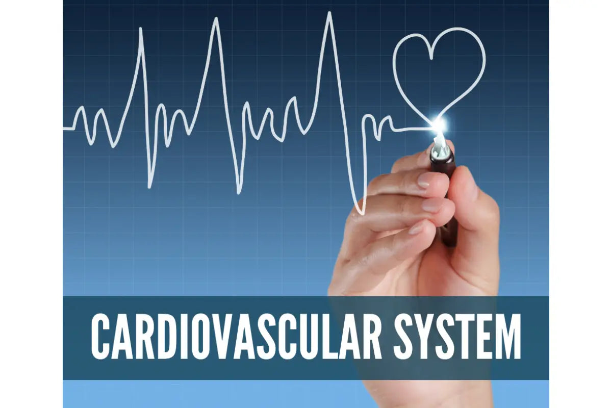 Essential Oils For Reflexology Oil Academy Digital Online Class