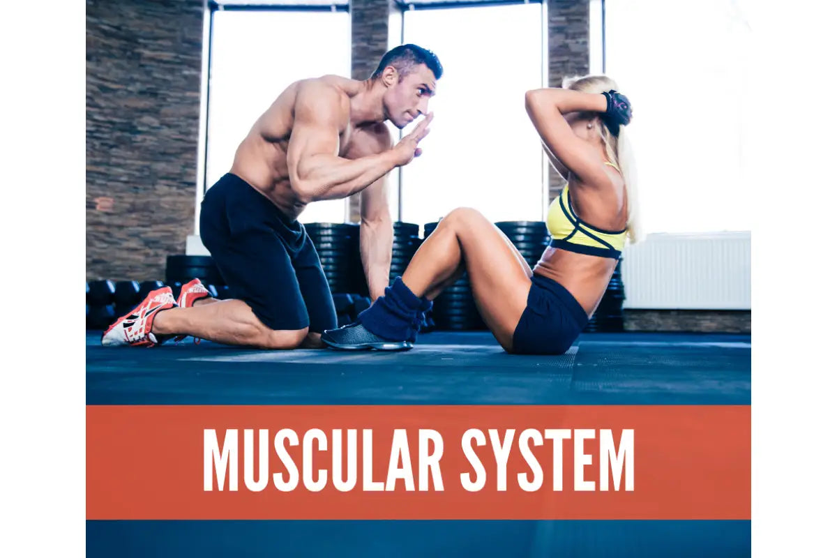 Essential Oils For Reflexology Oil Academy Digital Online Class