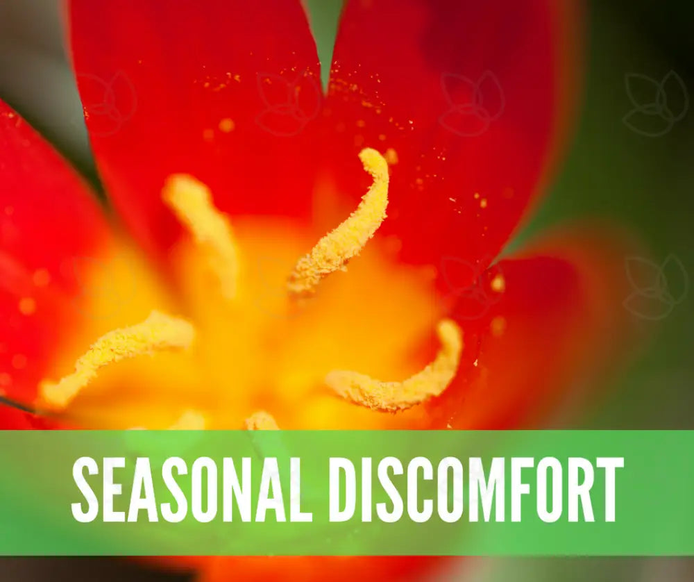 Essential Oils For First Aid Oil Academy Digital Online Class