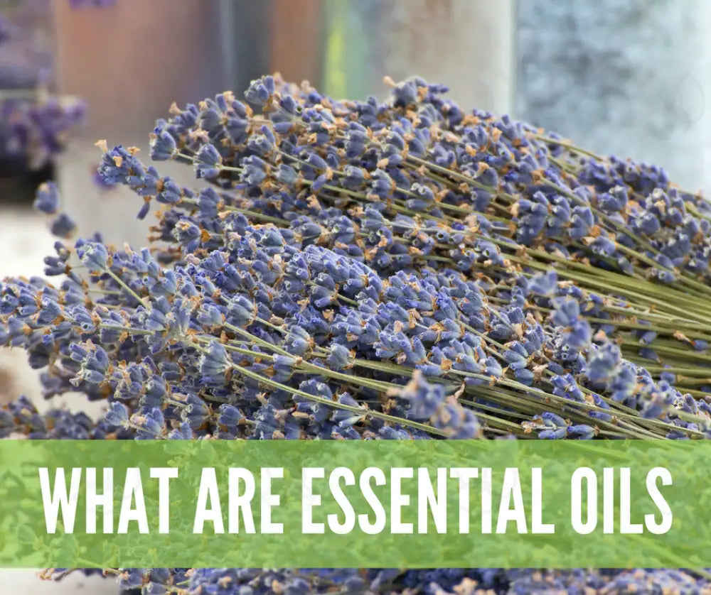 Essential Oils For First Aid Oil Academy Digital Online Class