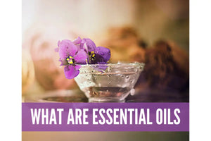 Essential Oil Recipes For Fighting Germs Academy Digital Online Class