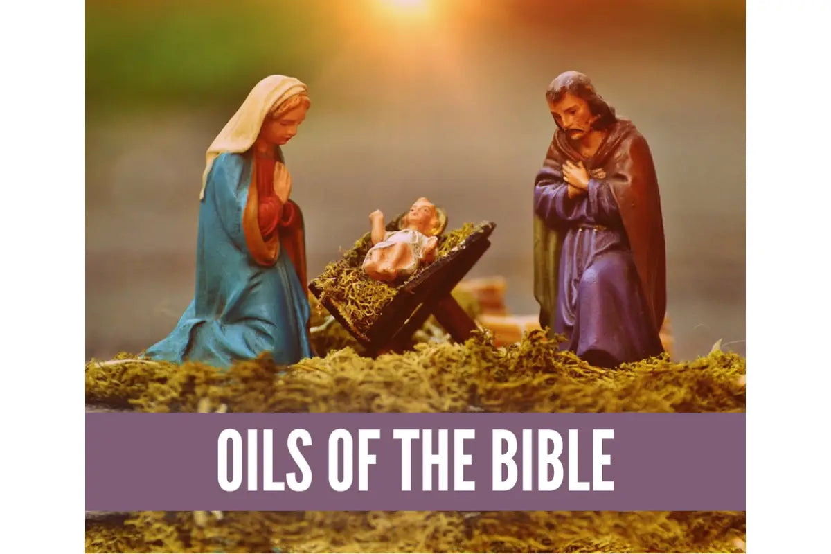 Surviving The Holidays With Essential Oils Oil Academy Digital Online Class