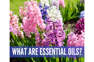 Essential Oils 101 Oil Academy Digital Online Class