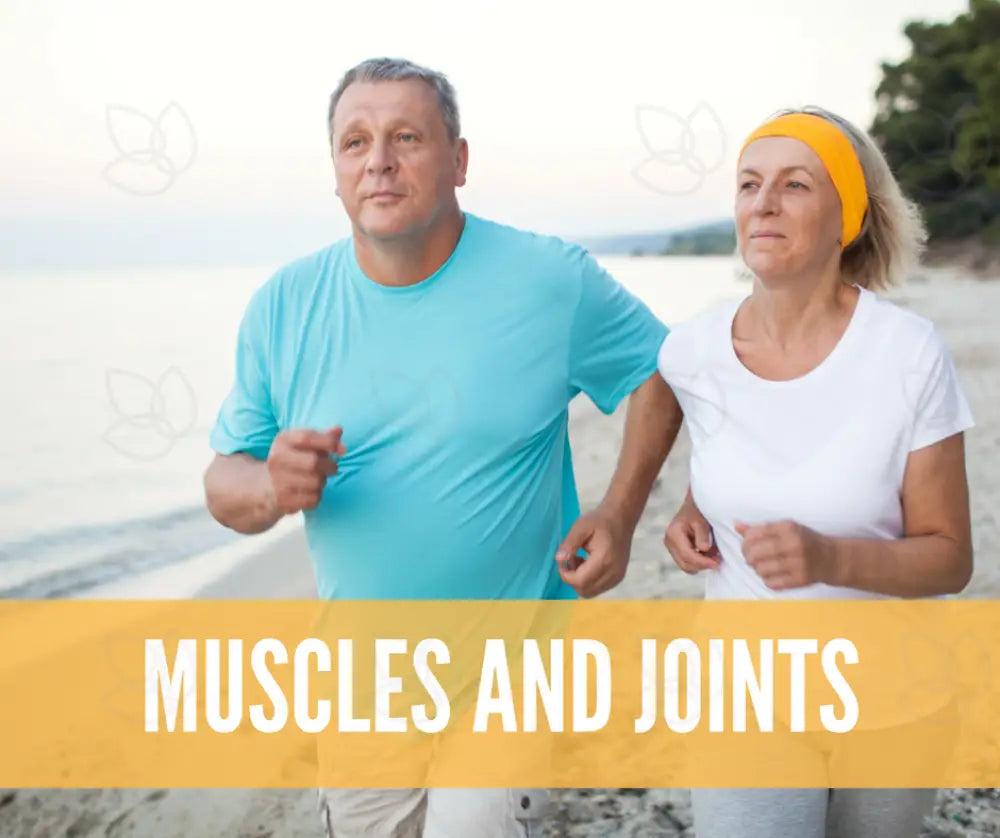 Essential Oils For Menopause Oil Academy Digital Online Class