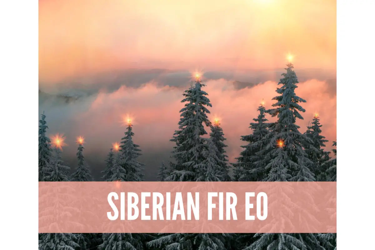 Essential Oil Holiday Room Sprays Academy Digital Online Class