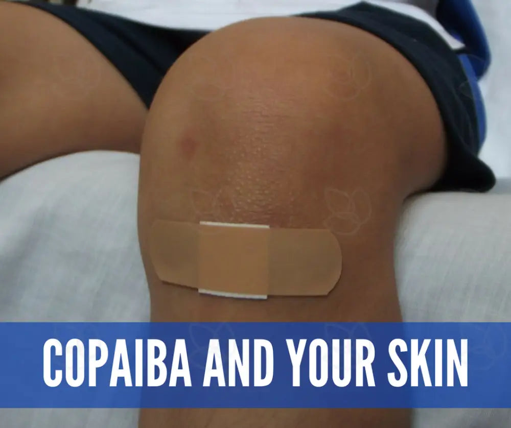 Copaiba Essential Oil Academy Digital Online Class