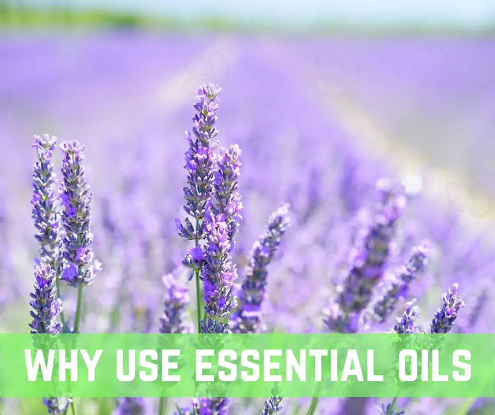 Essential Oils And Sleep Oil Academy Digital Online Class