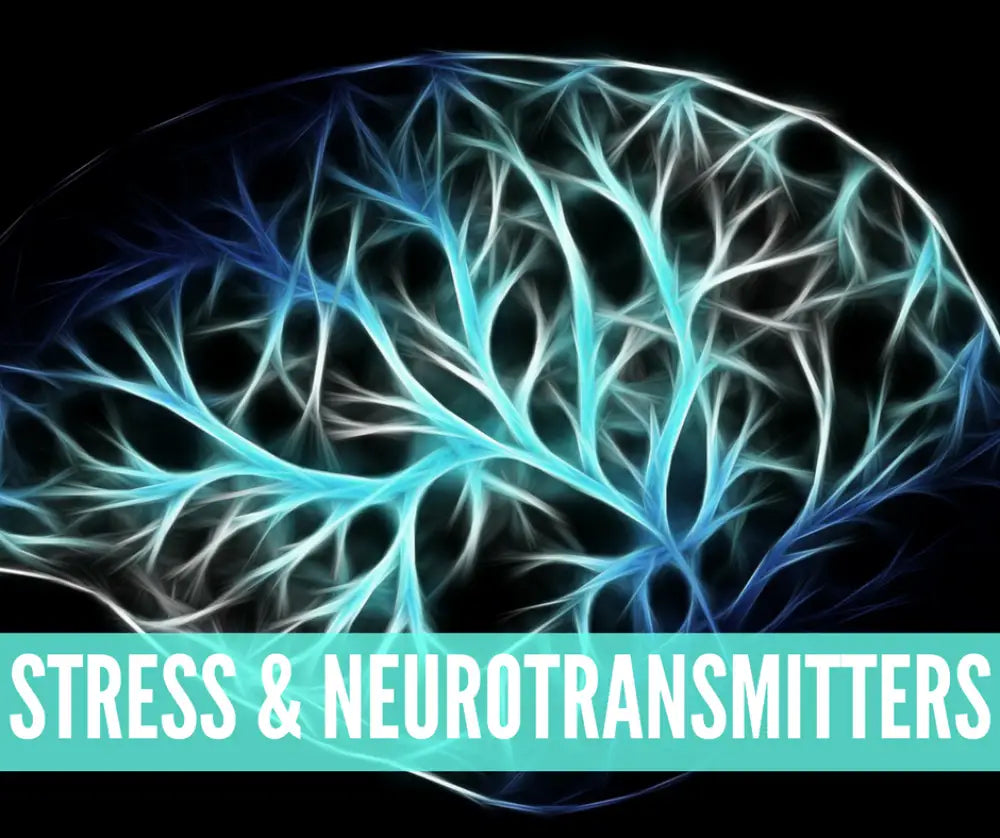 Essential Oils For Stress Oil Academy Digital Online Class