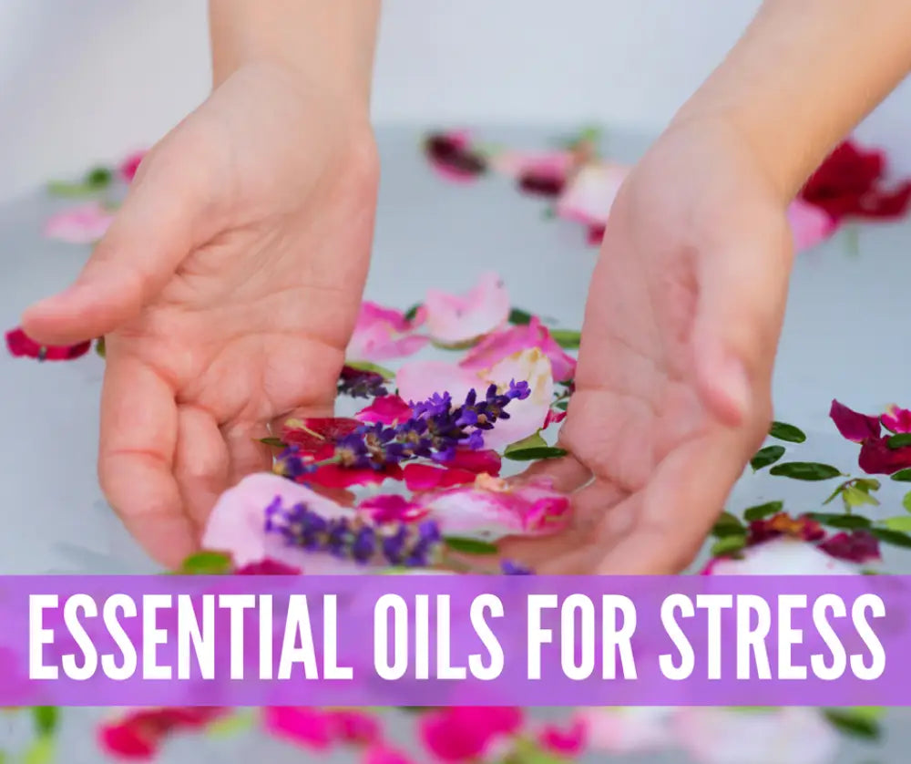 Essential Oils For Stress Oil Academy Digital Online Class