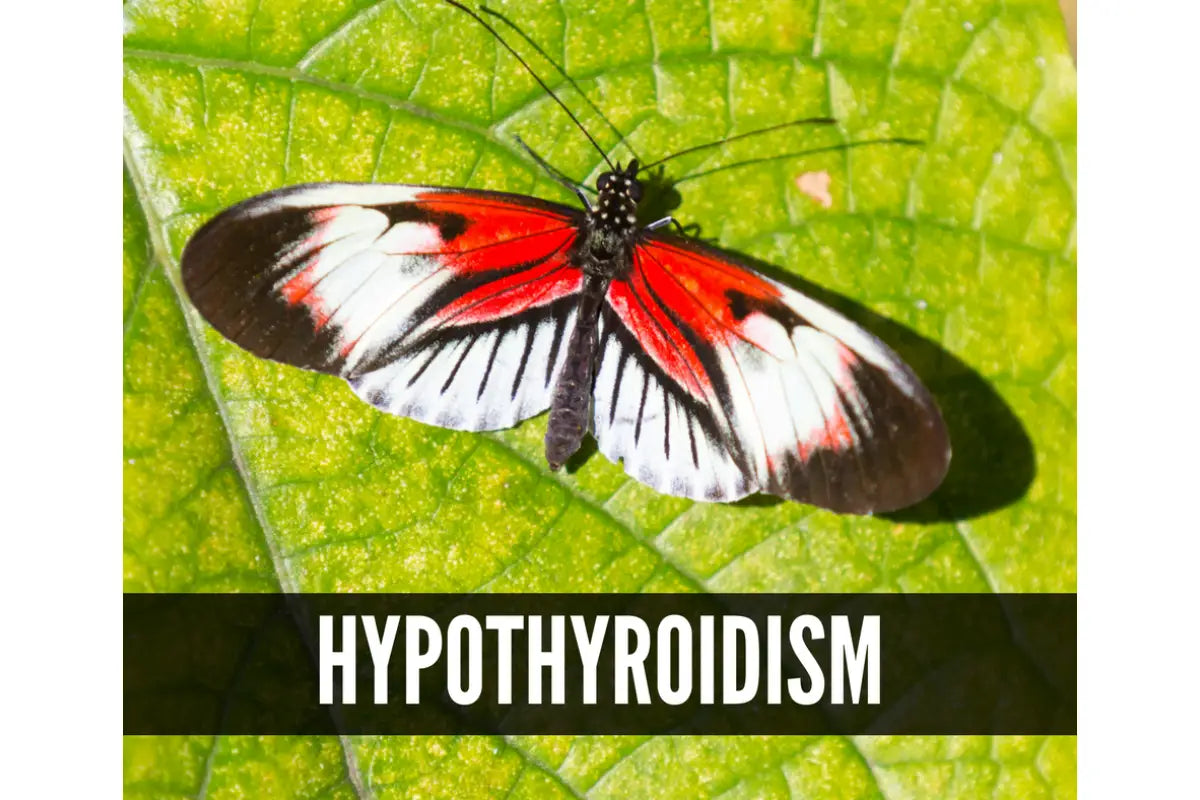 Essential Oils For Thyroid Support Oil Academy Digital Online Class