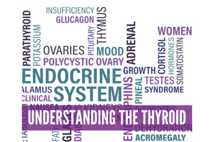 Essential Oils For Thyroid Support Oil Academy Digital Online Class
