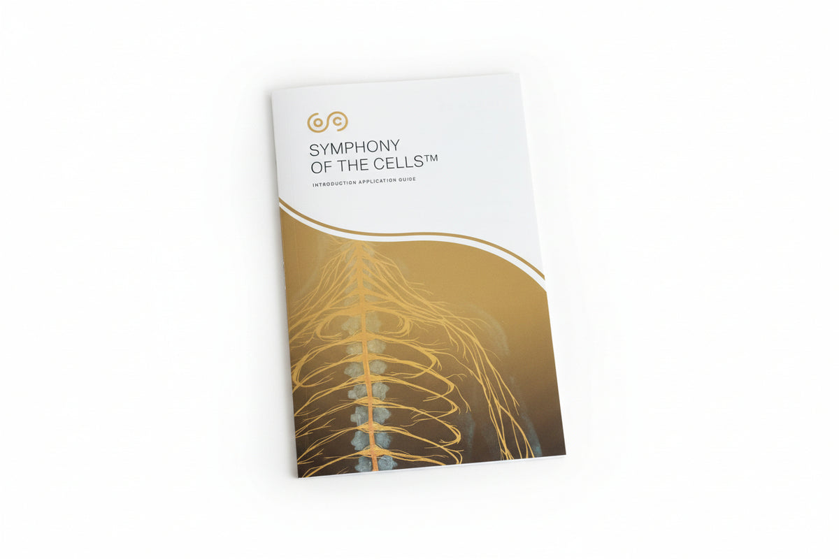 Symphony of the Cells Introduction to SOC Bi-Fold (Pack of 5)