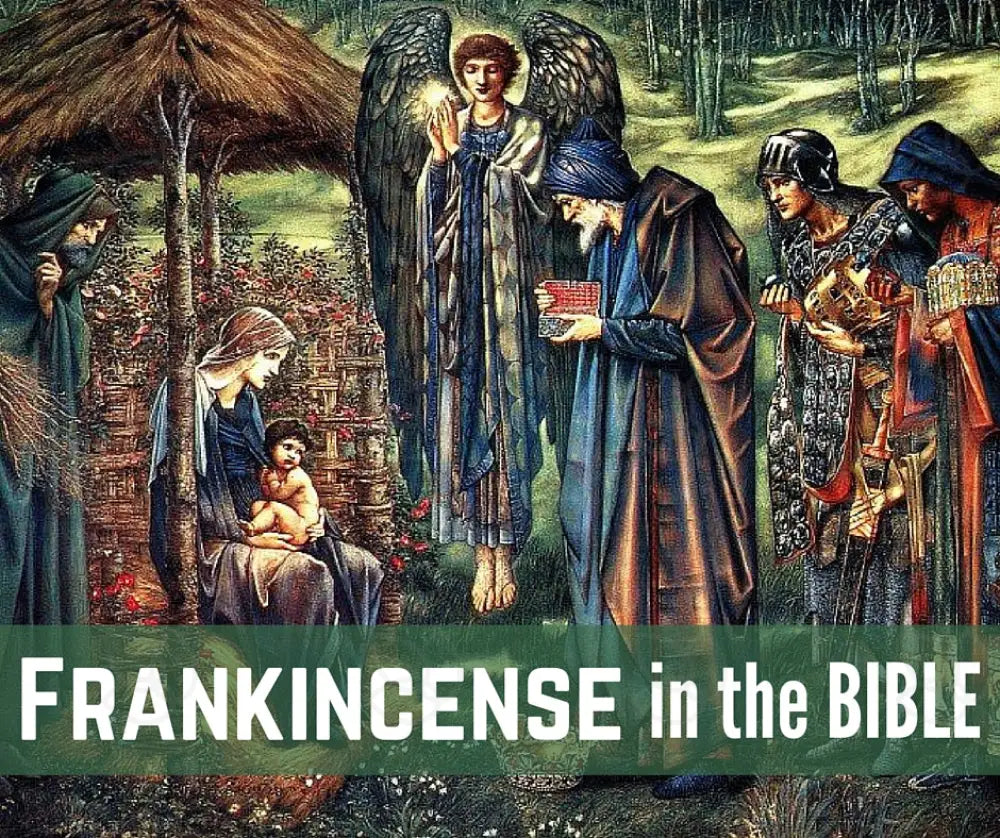 Oils For The Bible Essential Oil Academy Digital Online Class