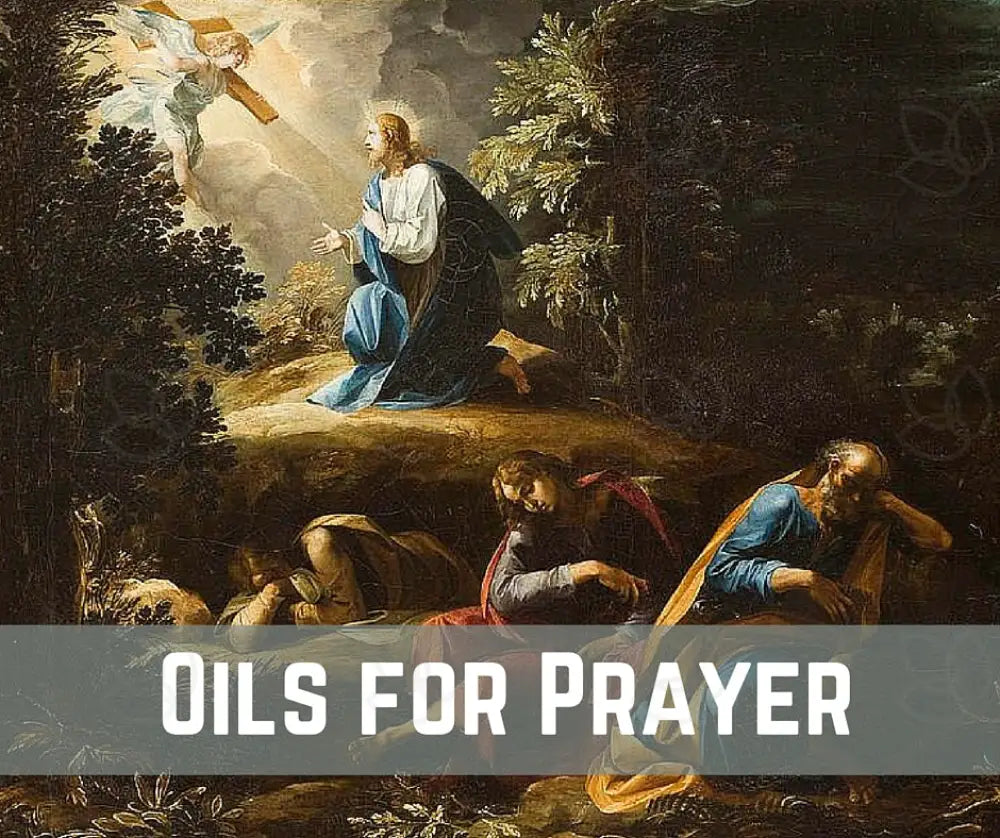 Oils For The Bible Essential Oil Academy Digital Online Class