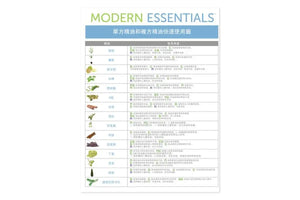 "Modern Essentials: Essential Oils & Blend Quick Usage Binder Chart (9 x 11" x 17")