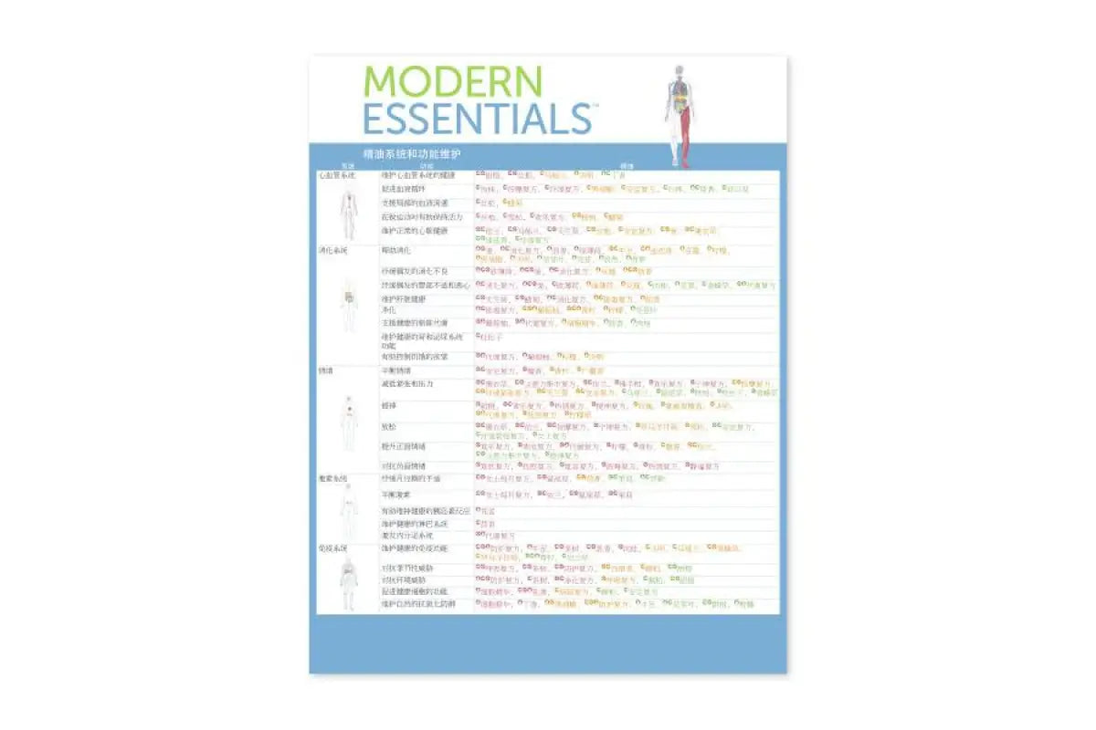 Pack de 10 Introduccion Modern Essentials (espanhol)
