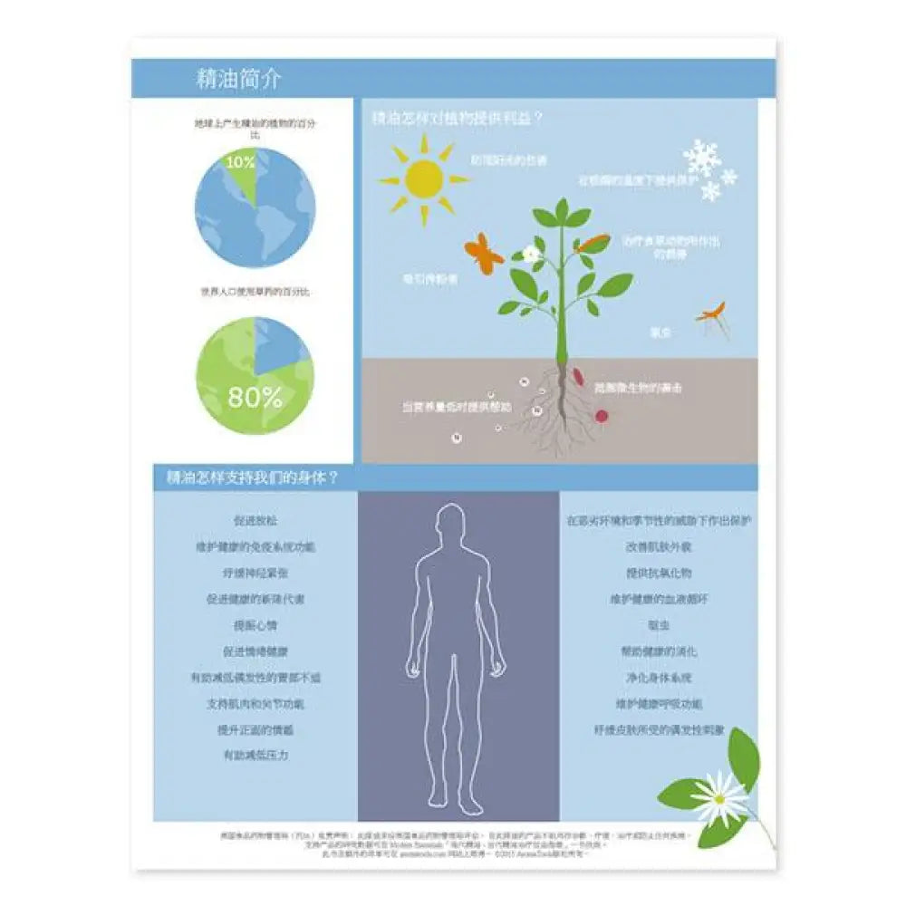 &quot;Modern Essentials: An Introduction to Essential Oils&quot; Brochures (Pack of 50)