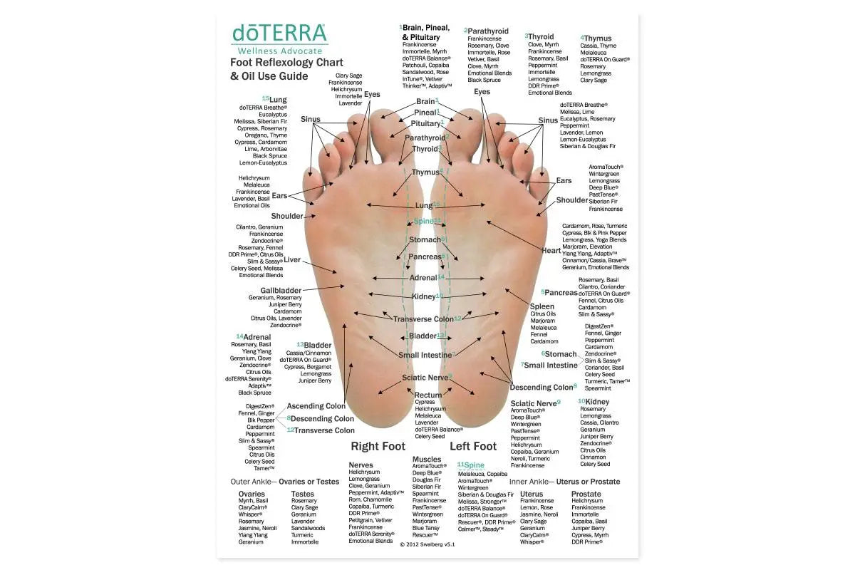 Hand side of the Hand and Foot Reflexology Chart (8-1/2 X 11), features doTERRA essential oils and blends.
