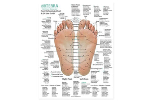 Foot side of the Hand and Foot Reflexology Chart (8-1/2 X 11), features doTERRA essential oils and blends.