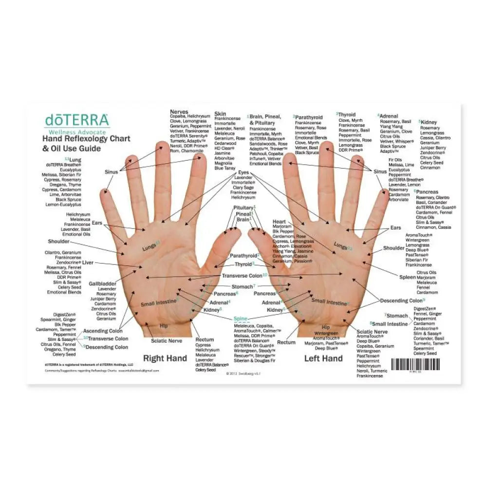 Mini Foot and Hand Reflexology Chart (8-1/2&quot; x 5-1/2&quot;)