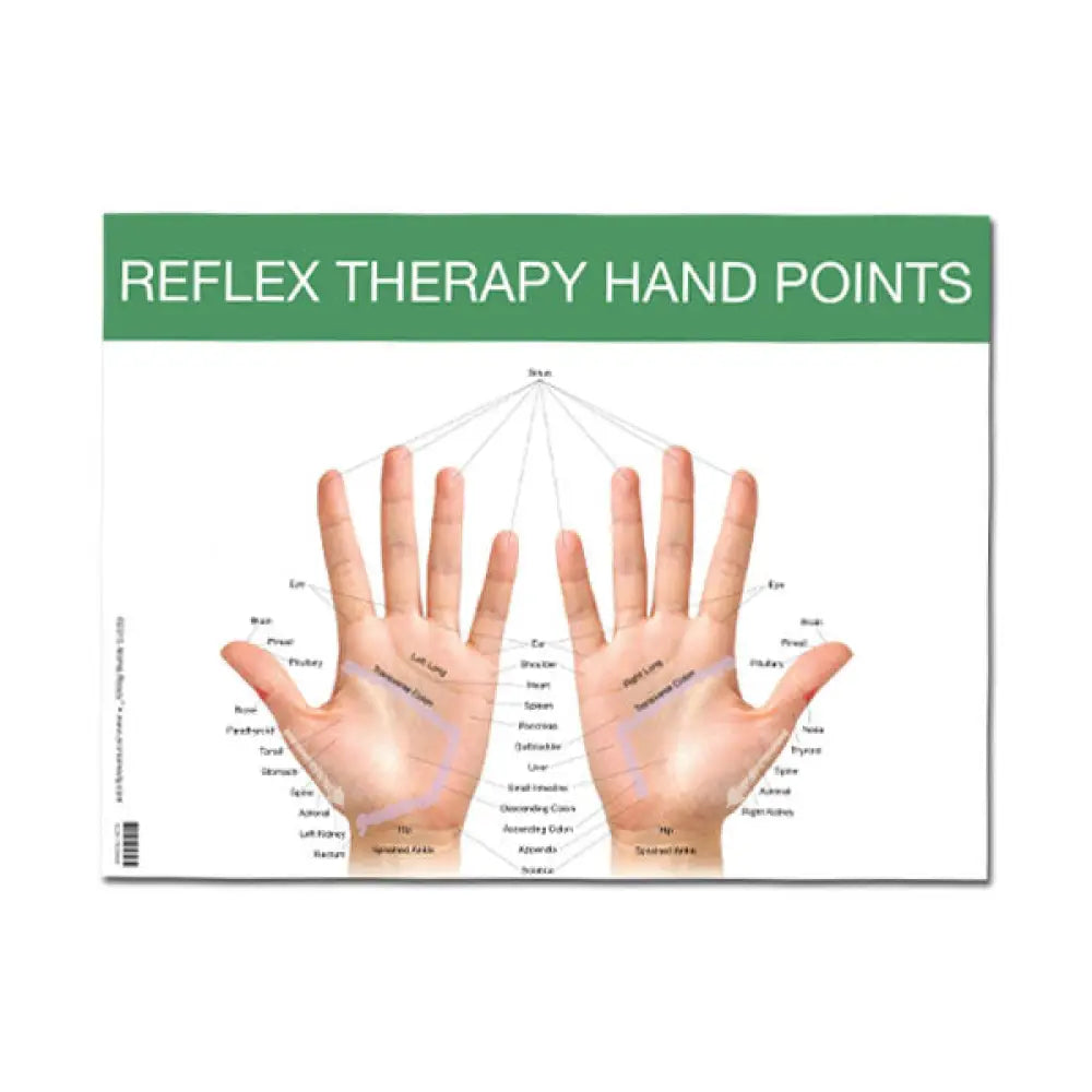Reflex Points For Foot And Hand Chart (8-1/2 X 11)