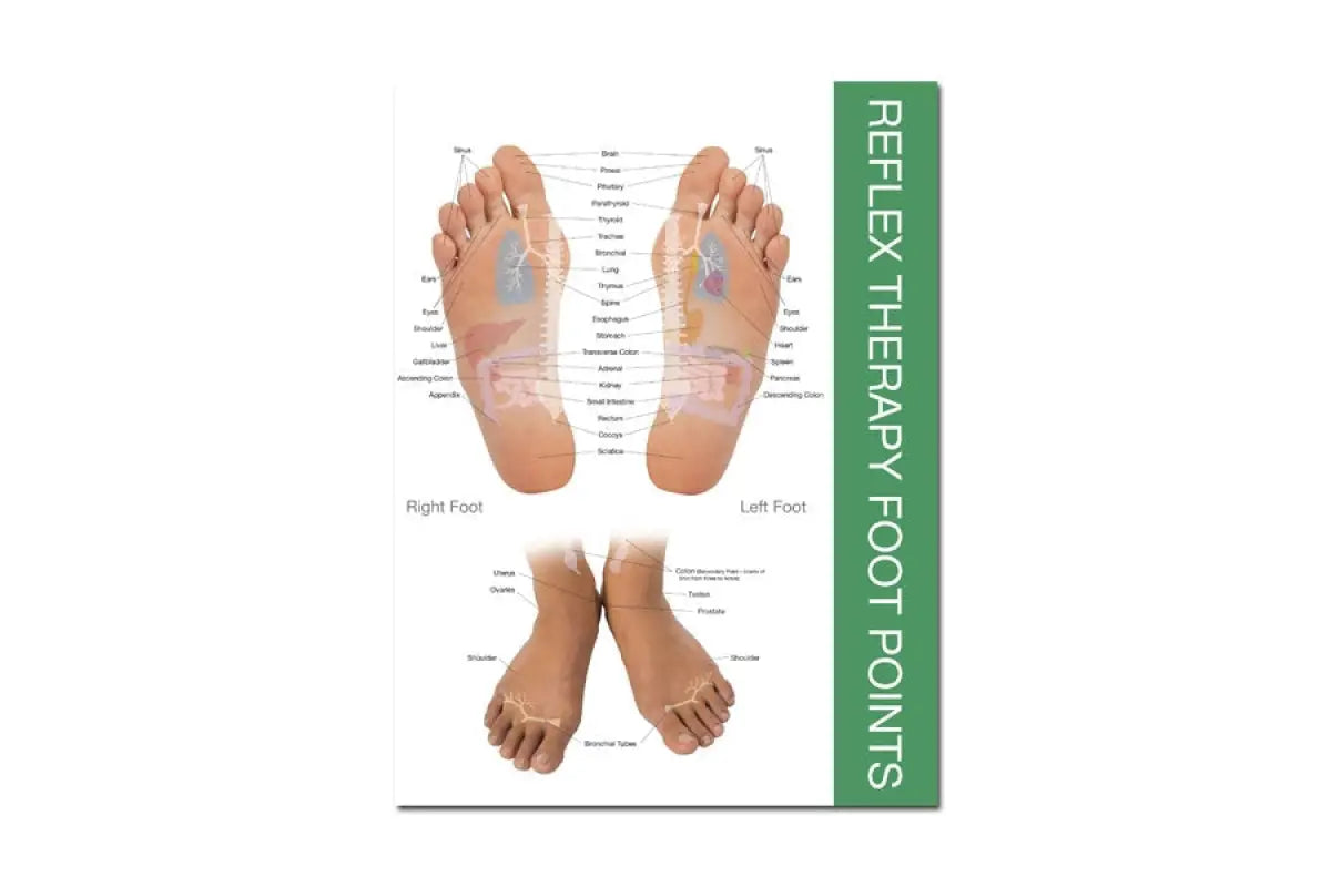 Reflex Points for Foot and Hand Chart (8½&quot; x 11&quot;)