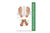 Mini Reflex Points For Foot And Hand Chart (8-1/2 X 5-1/2)