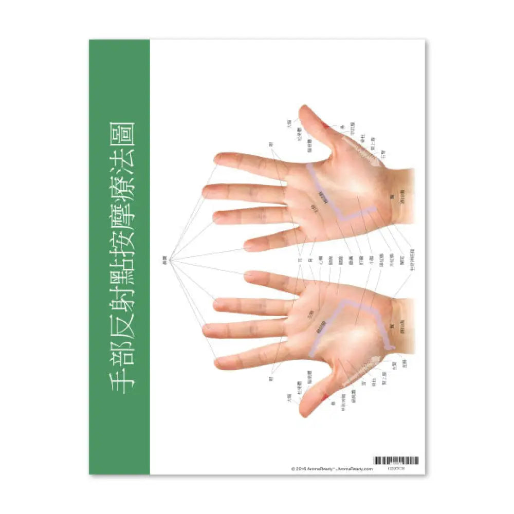 Reflex Points For Foot And Hand Chart (8-1/2 X 11) Traditional Chinese